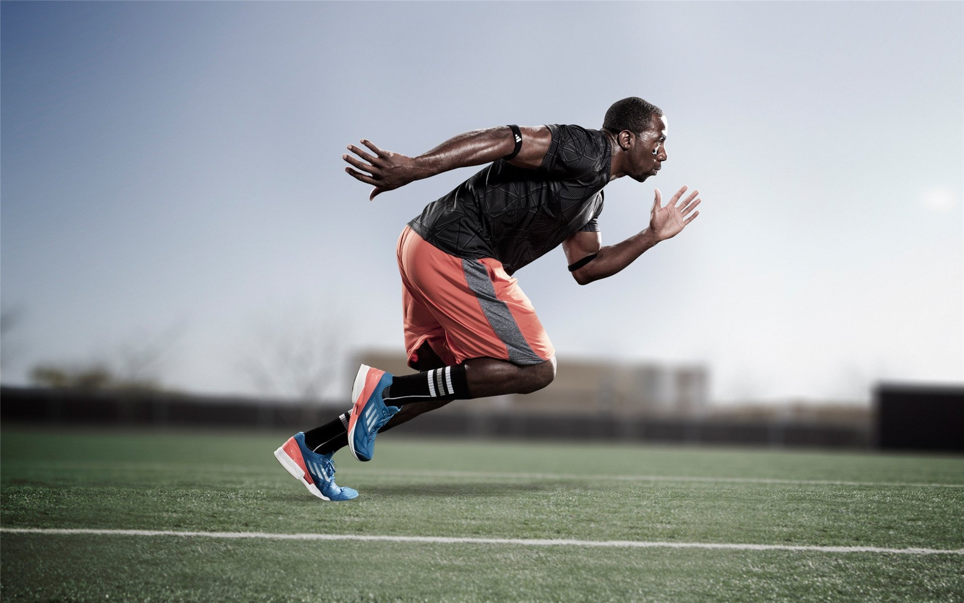 本土教练发展路径不清晰，教练行业环境分析